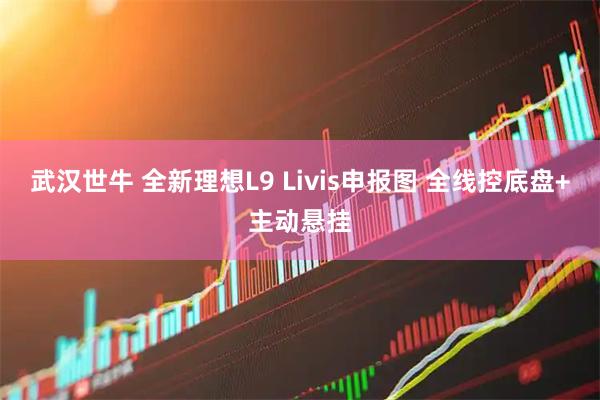 武汉世牛 全新理想L9 Livis申报图 全线控底盘+主动悬挂
